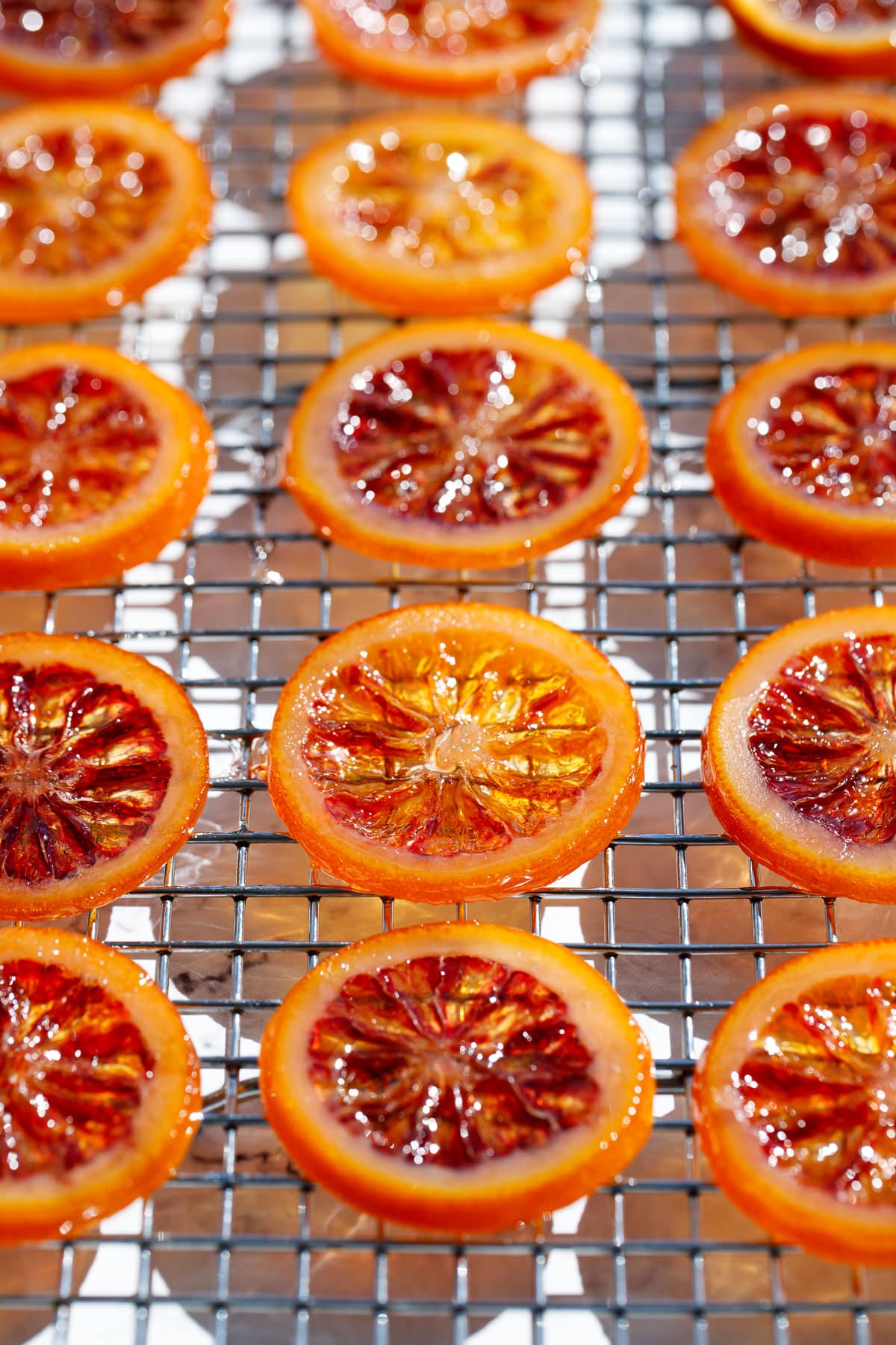 Homemade Candied Blood Orange Slices on a wire rack in bright direct light to showcase the stained-glass like appearance.