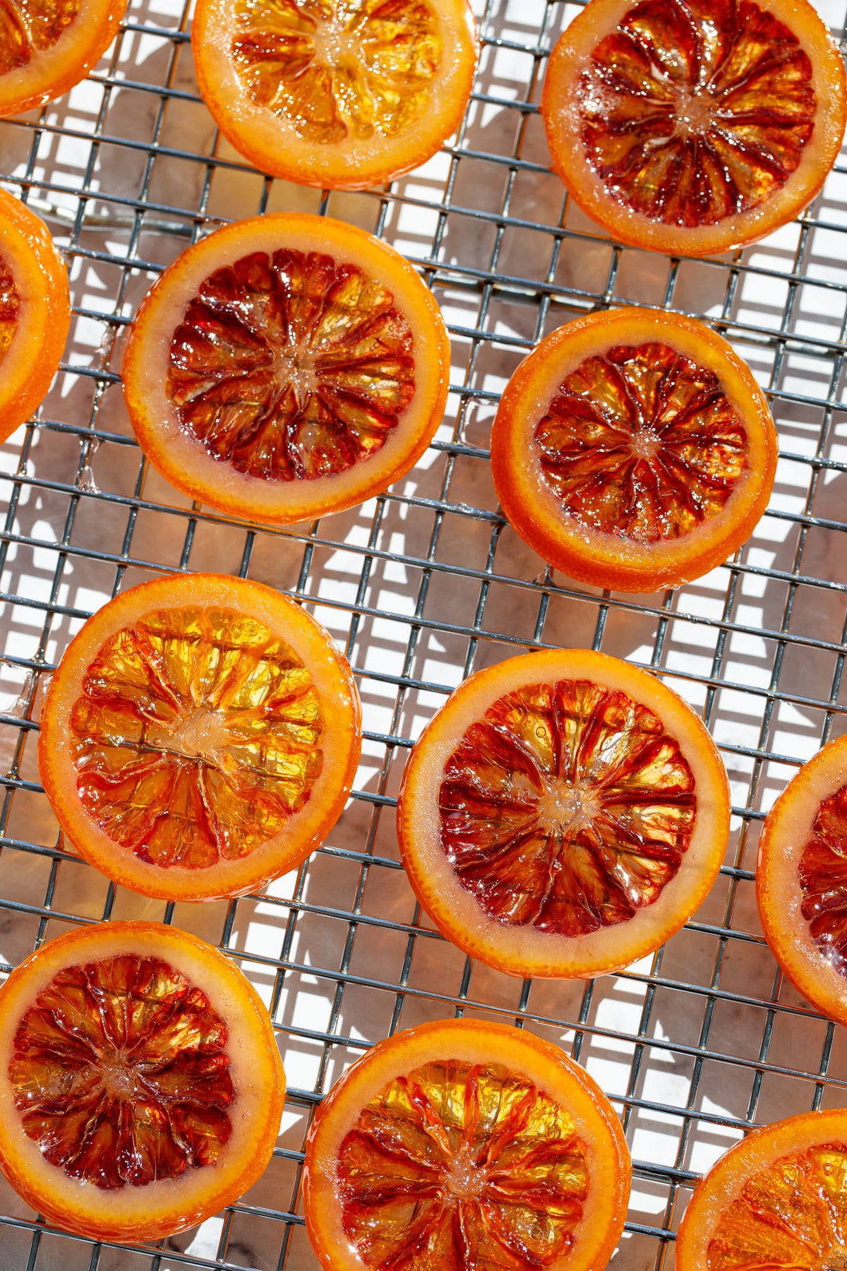 Homemade Candied Blood Orange Slices on a wire rack in bright direct light to showcase the stained-glass like appearance.