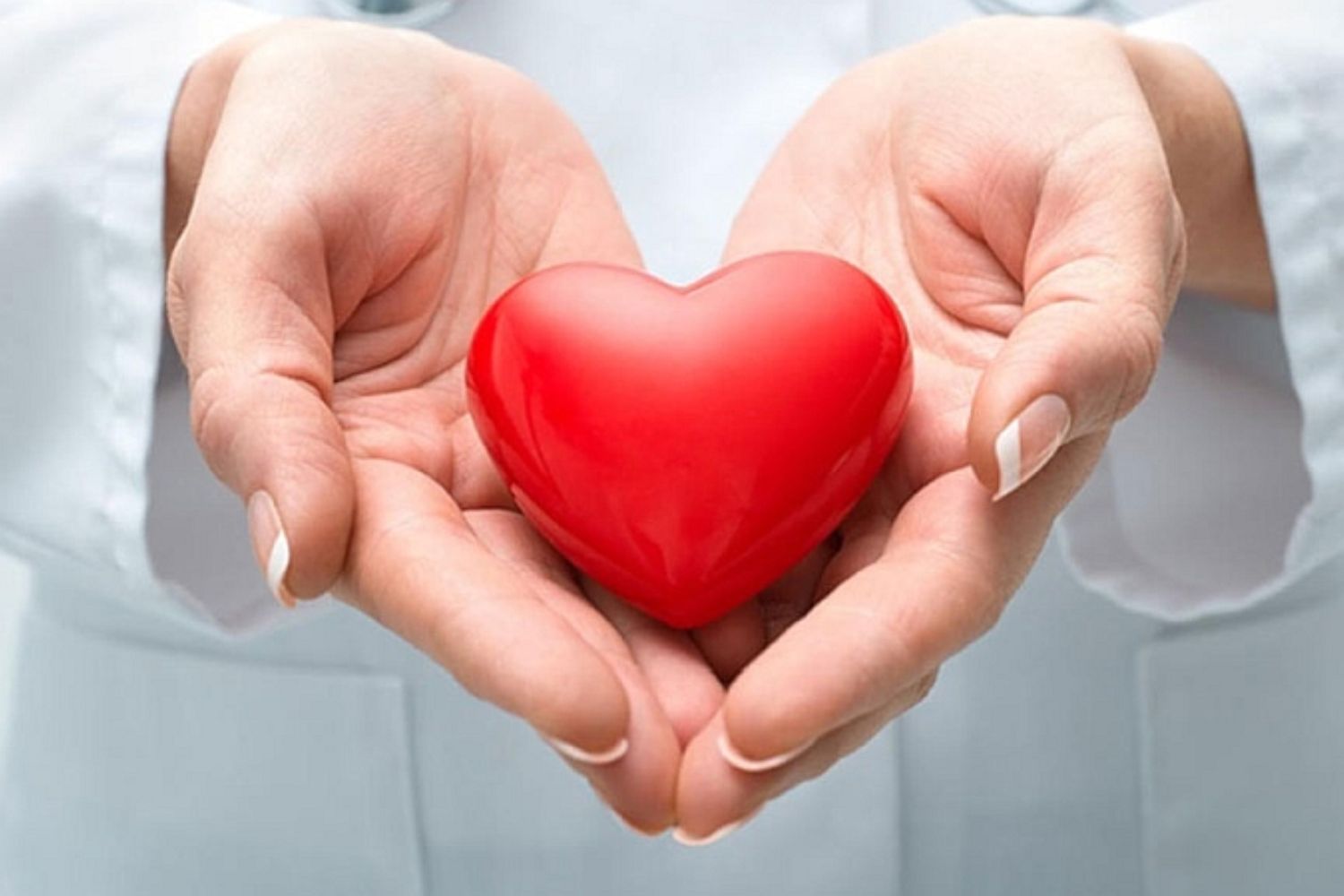 Cá basa giúp giảm nguy cơ mắc các bệnh về tim mạch